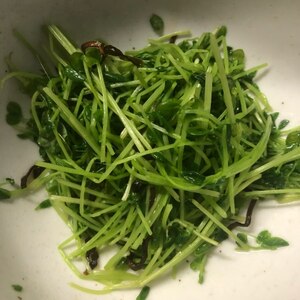 電子レンジで簡単！豆苗の塩昆布あえ